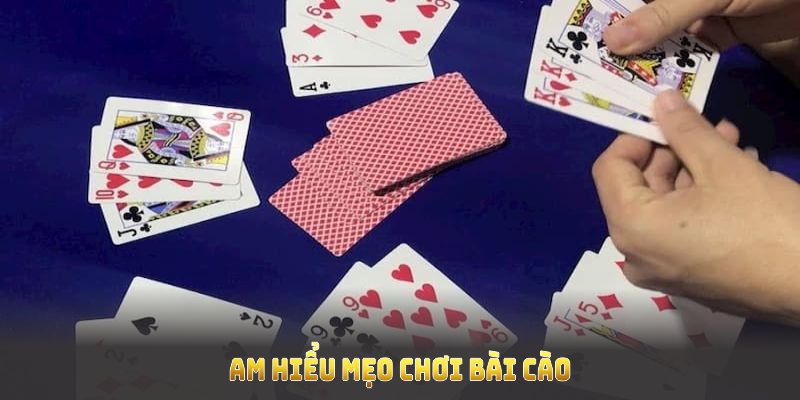 Am hiểu mẹo chơi bài cào giúp bạn nắm lợi thế khi gia cược