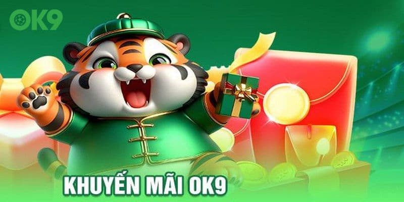 Hướng dẫn xử lý một số lỗi khi nhận khuyến mãi thể thao OK9